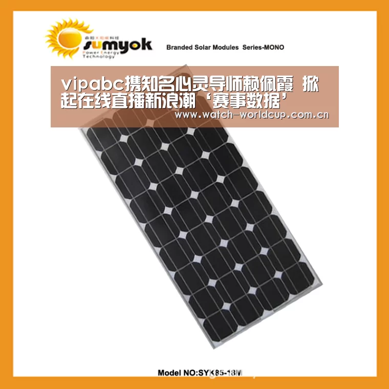 vipabc携知名心灵导师赖佩霞 掀起在线直播新浪潮‘赛事数据’(图1) 世界杯直播
