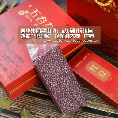 普华集团翟山鹰:从0到1玩转自媒体小思路 轻松赚大钱-世界杯直播(图3) 比分更新
