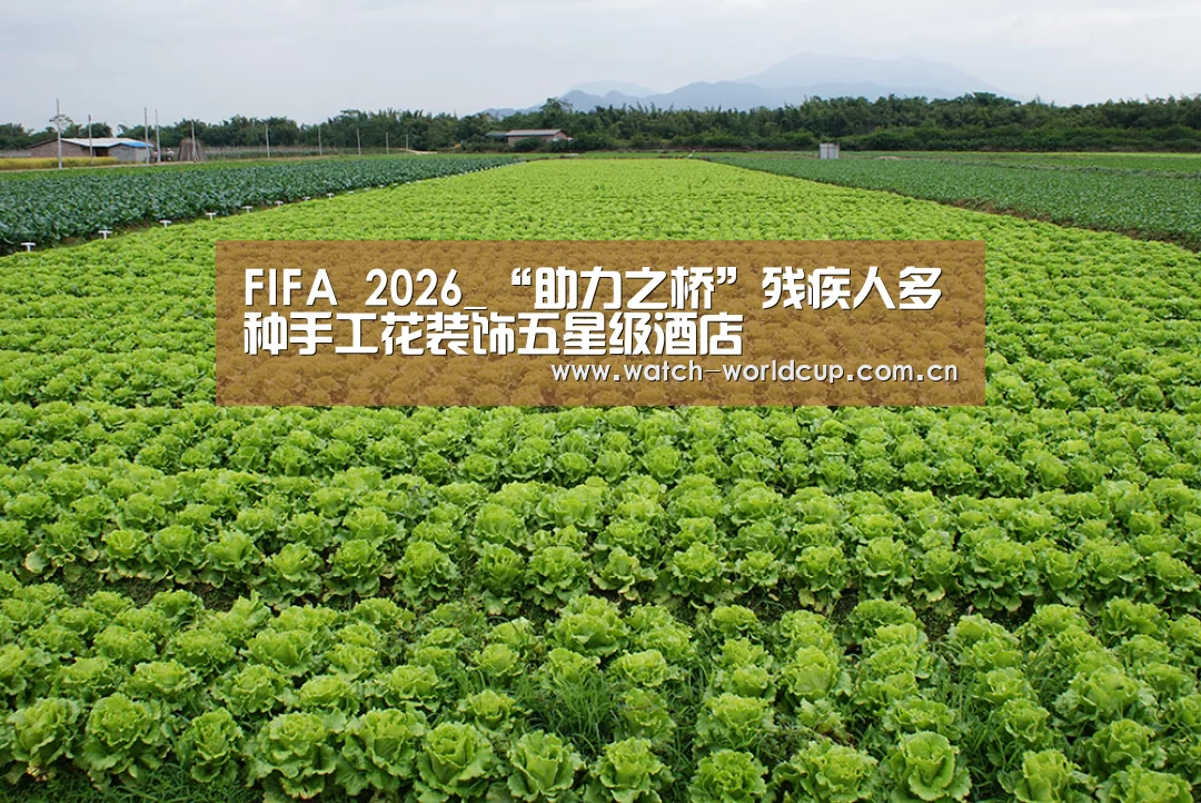 FIFA 2026