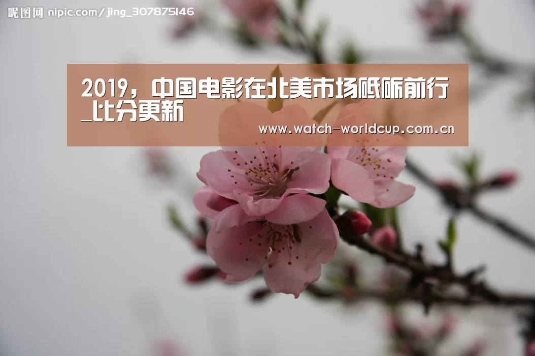 2019,中国电影在北美市场砥砺前行_比分更新(图1) FIFA 2026
