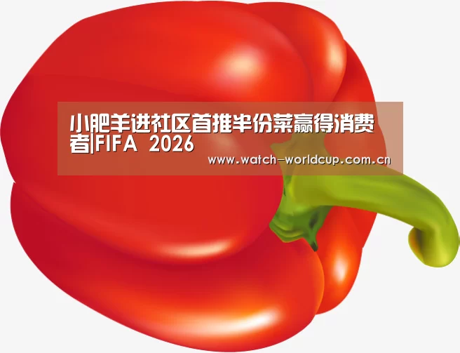 世界杯直播