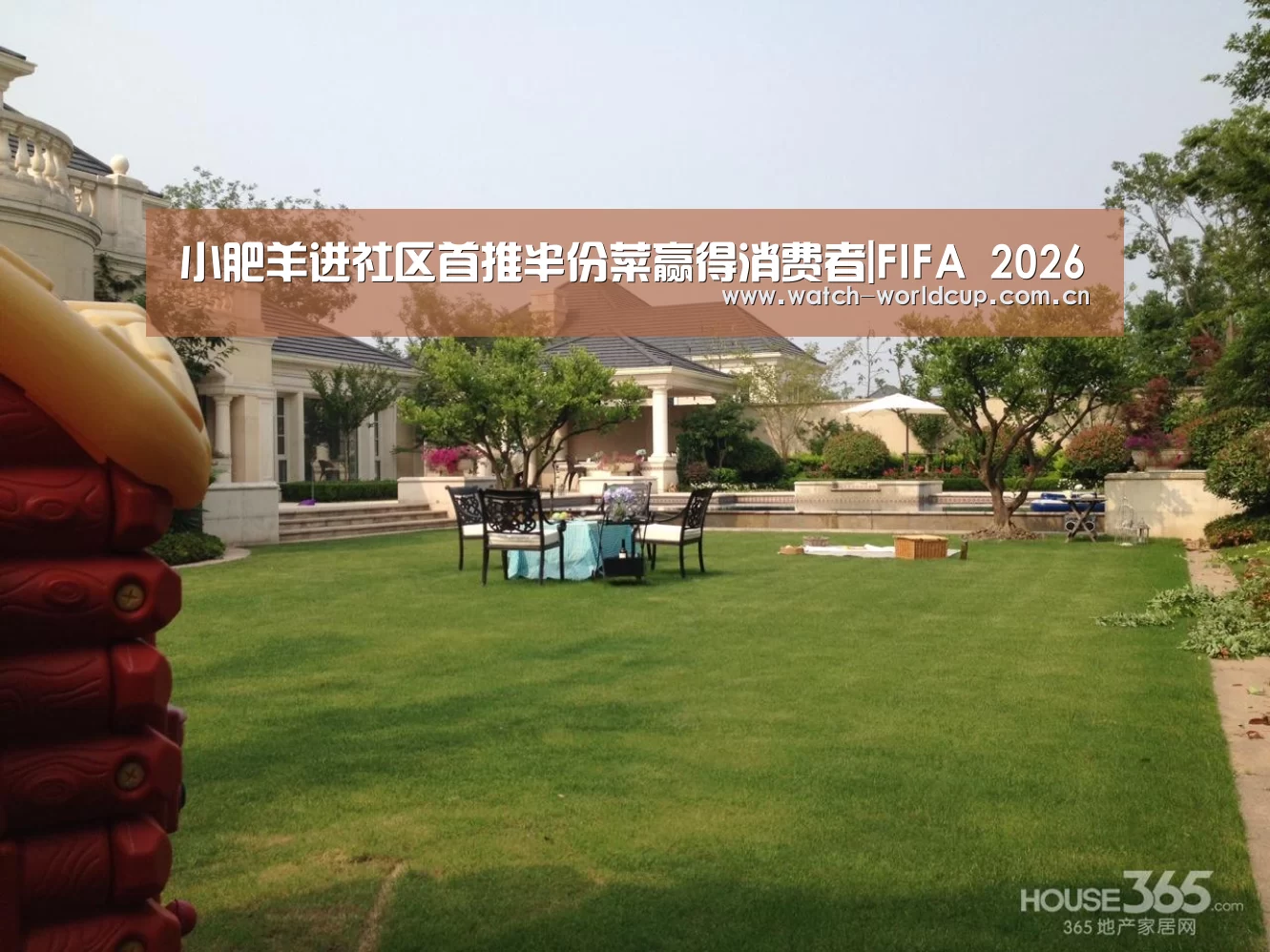 比分更新